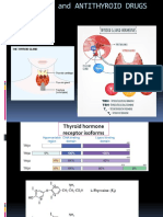 2 Thyroid and Antithyroid Drugs