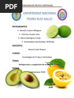 Practica N º03 Frutas y Hortalizas