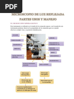 Resumen de Microscopio de Luz Reflejada