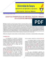 Algunas Fisiopatias de Frutos, Tallos y Hojas en Cultivos Protegidos PDF