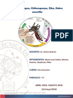 Dengue Zika Chikungunya Fiebre Amarilla