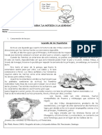 Ficha 3° C. Lectora Texto Informativo