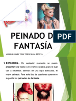 Peinado de Fantasia