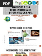 Beneficios de La Biotecnología en Diferentes Campos