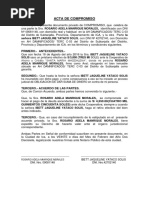 Acta de Compromiso de Pagos Privado