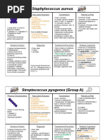 Bacteria List Exam 1 PDF