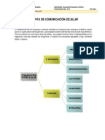 Tipos de Comunicación Celular