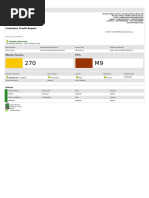 Metro-Score PPI: Customer Credit Report