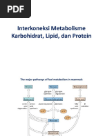 Interkoneksi Metabolisme Karbohidrat, Lipid, Dan Protein