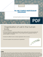 Human Being Are Complex Multicellular Organisms