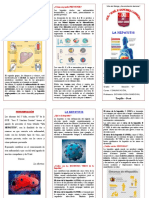 Triptico La Hepatitis GUE