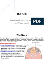 The Neck: Head & Neck Unit - Lecture 11 د - مسعلأا ليلج رديح