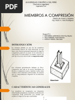 Grupo #4 - Miembros A Compresion