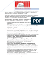 Plan Integral de Neuroeducación