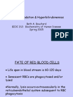 212 Spring 2005 Heme Degradation