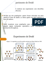 Experimento de Dodd