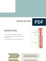 Uretra Rupture