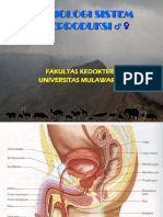 Fisiologi Reproduksi