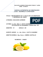 Proyecto Del Limon Enfermeria Tecnica III IESTP.