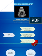 FETAL ECHOCARDIOGRAPHY PPT DD Fix2