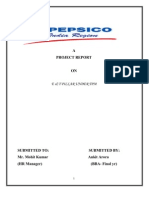 HR Project On Pepsico For BBA