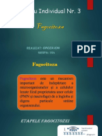 Fagocitoza