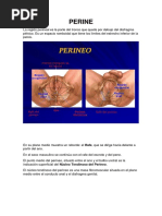 1.-Examen de Entrada de Perine