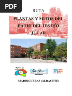 Ruta Plantas y Mitos Del Patio Del IES Río Júcar