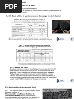 Requisitos de Calidad CARPETAS ASFÁLTICAS