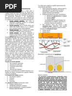 Histologia Tecido Epitelial