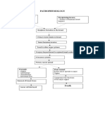 Pathophysiology: Predisposing Factors Precipitating Factors