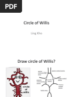 Circle of Willis: Ling Kho