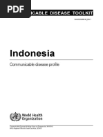 Indonesia Profile Jul 2006 PDF