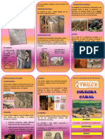 Triptico de Caral