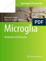 Micro Glia