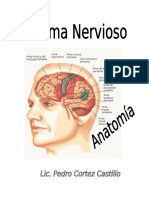 Modulo Sistema Nervioso - Jorge Basadre Semana 4