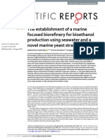 The Establishment of A Marine Focused Biorefinery For Bioethanol Production Using Seawater and A Novel Marine Yeast Strain