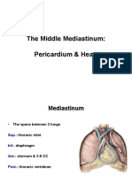 Anatomy, Lecture 6, Pericardium and The Heart (Slides)