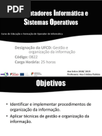 Gestão e Organização Da Informação