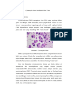 Cytomegalovirus Dan Epstein Barr Virus