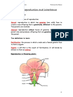 Combined Notes - Unit 1 Edexcel Physics A-Level