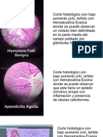 Cortes Patologia - Primer Parcial PDF