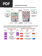 Microbiologia General y Examen Parcial