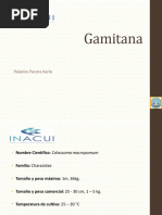 GAMITANA