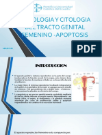 Histologia y Citologia Del Tracto Genital Femenino - (Autoguardado)