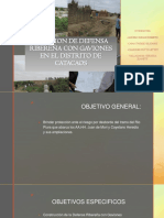 Creacion de Defensa Ribereña