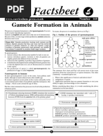 Gamete Formation in Animals PDF