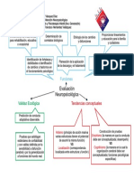 Evaluación Neuropsicológica