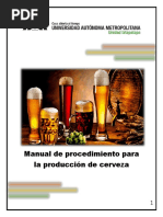 Manual de Proceso