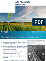 Introduction To Phosphate